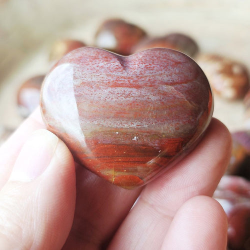 Small Petrified Wood Hearts | Ancient Heartbeat