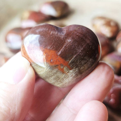 Small Petrified Wood Hearts | Ancient Heartbeat