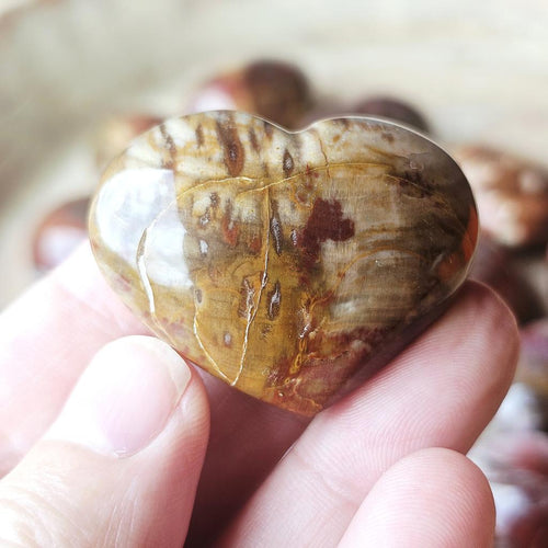 Small Petrified Wood Hearts | Ancient Heartbeat