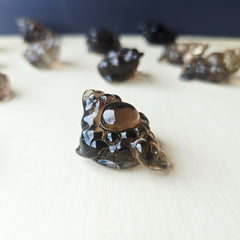 Smoky Quartz Money Toad - A Grade | Smoky Coin Guardians