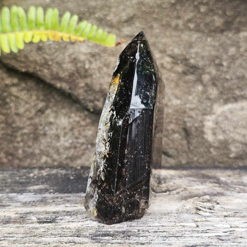 Smoky Quartz With Enhydro | The Hidden Current