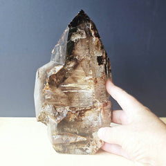 Smoky & Inclusion Quartz Faceted Freeform| Smoky Horizon