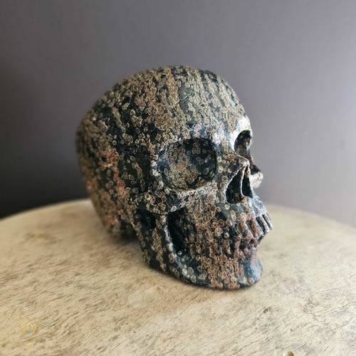 Snowflake Obsidian Skull | Guardian Of Negativity