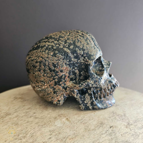 Snowflake Obsidian Skull | Guardian Of Negativity