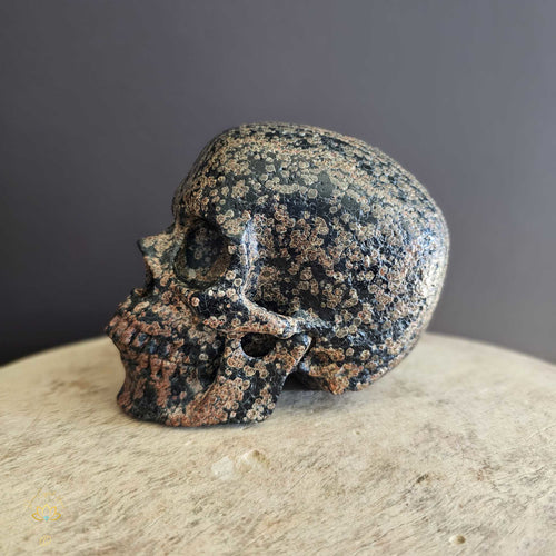 Snowflake Obsidian Skull | Guardian Of Negativity