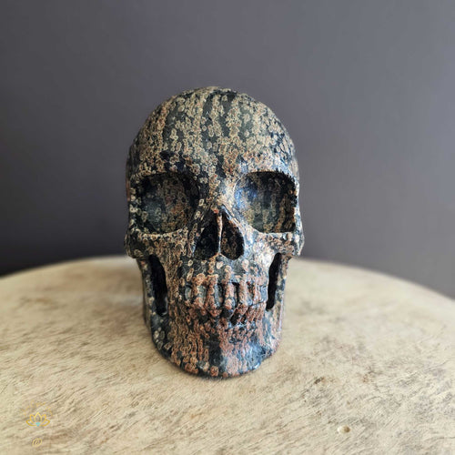 Snowflake Obsidian Skull | Guardian Of Negativity