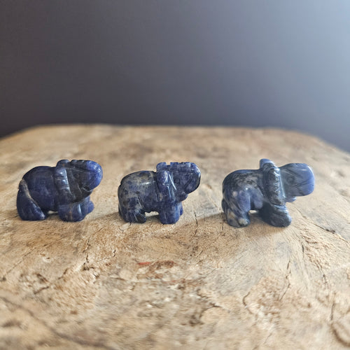 Sodalite | Mini Elephants