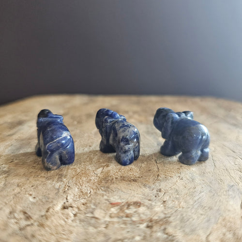 Sodalite | Mini Elephants