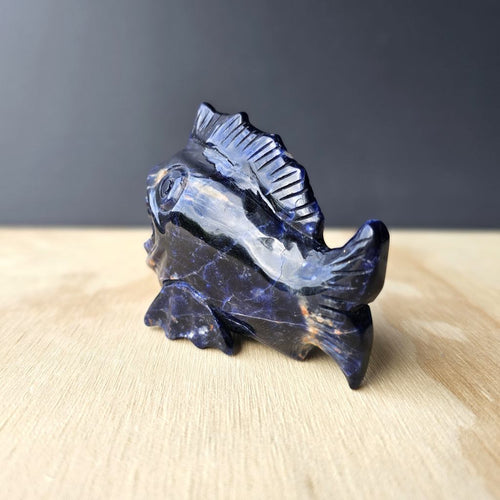 Sodalite Piranha Carving | Fierce Energy In A Crystal Bite