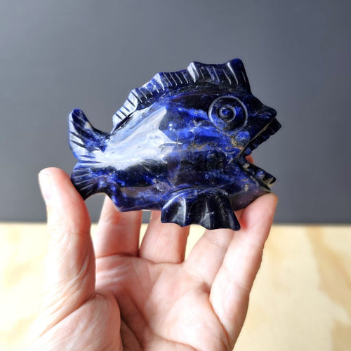 Sodalite Piranha Carving | Fierce Energy In A Crystal Bite