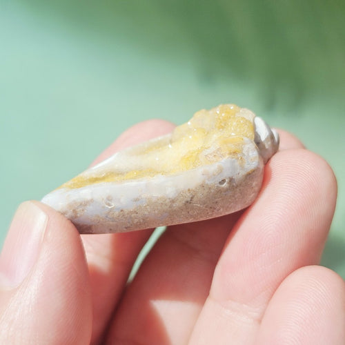 Spiralite Shell With Druzy Quartz | Druzy Dreaming