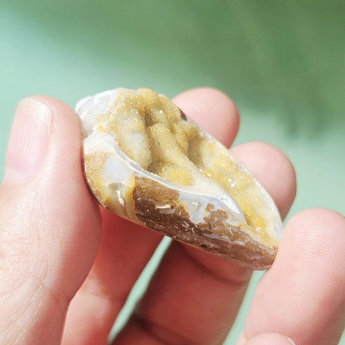 Spiralite Shell With Druzy Quartz | Druzy Dreaming