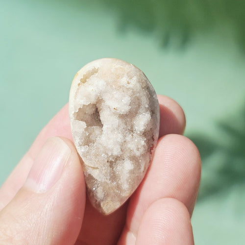 Spiralite Shell With Druzy Quartz | Tethyan Relic