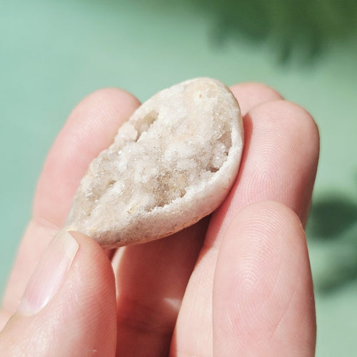 Spiralite Shell With Druzy Quartz | Tethyan Relic