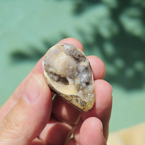 Spiralite Shell With Druzy Quartz | Waves Of The Ocean