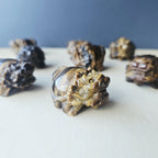 Tiger Eye Dragon Turtle | Steady Success
