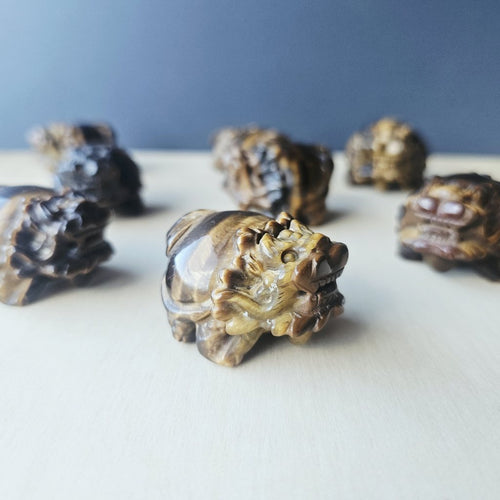 Tiger Eye Dragon Turtle | Steady Success