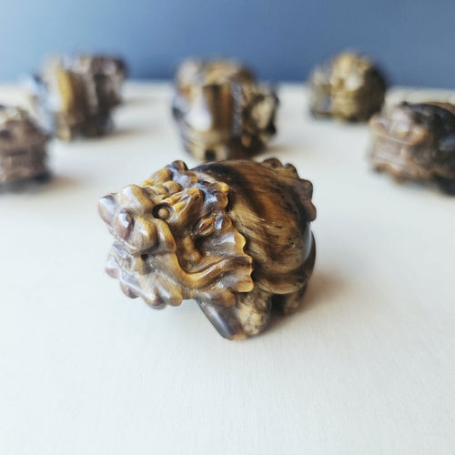 Tiger Eye Dragon Turtle | Steady Success