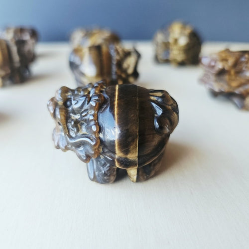 Tiger Eye Dragon Turtle | Steady Success