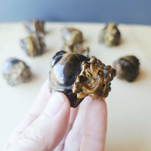 Tiger Eye Dragon Turtle | Steady Success