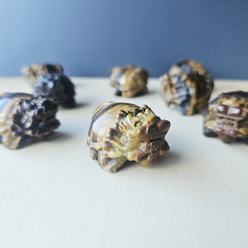 Tiger Eye Dragon Turtle | Steady Success