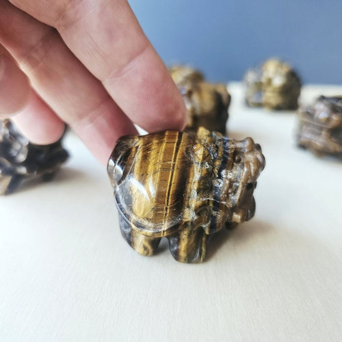 Tiger Eye Dragon Turtle | Steady Success