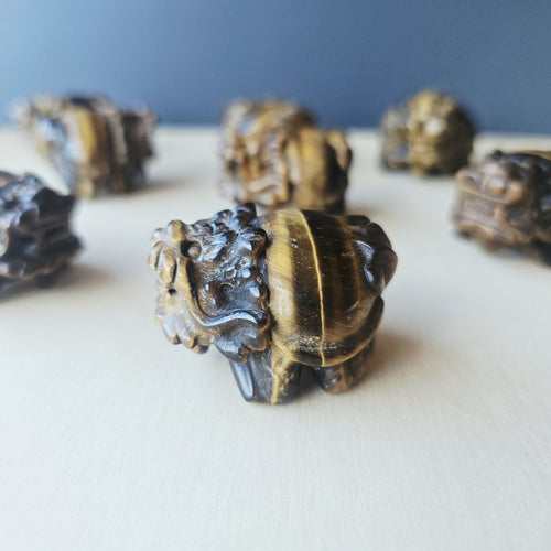 Tiger Eye Dragon Turtle | Steady Success