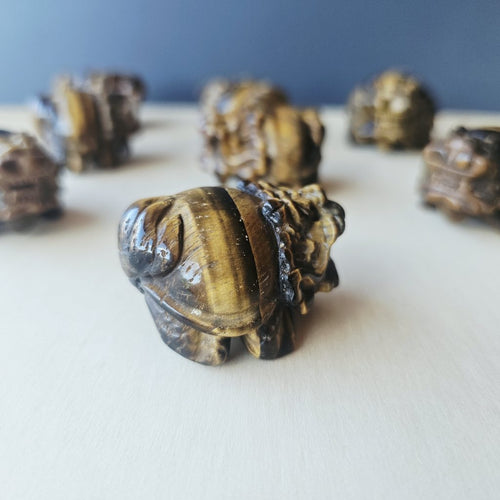 Tiger Eye Dragon Turtle | Steady Success