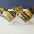 Tigers Eye Hearts | Golden Heart Beat