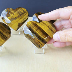 Tigers Eye Hearts | Golden Heart Beat