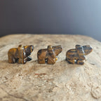 Tigers Eye | Mini Elephants