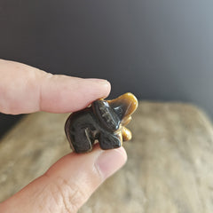 Tigers Eye | Mini Elephants