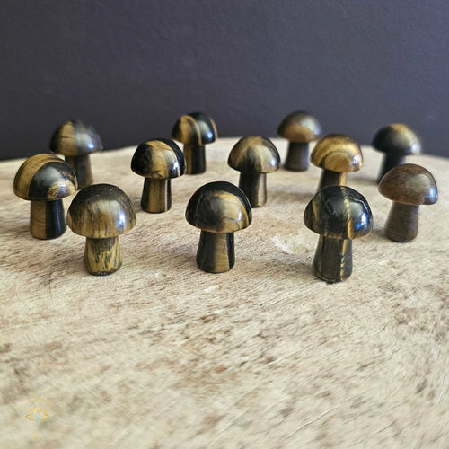 Tigers Eye Mini Mushrooms