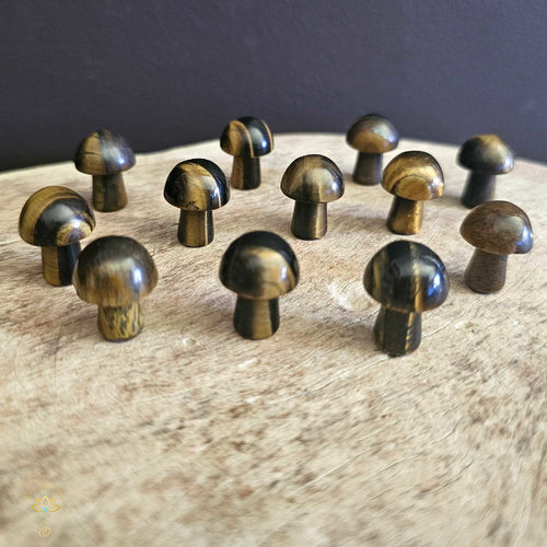 Tigers Eye Mini Mushrooms