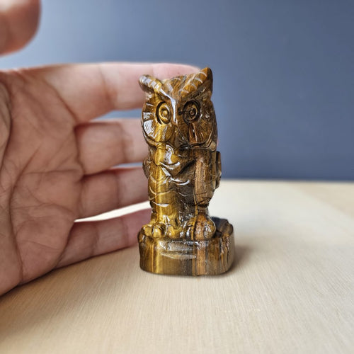 Tigers Eye Owl | The Golden Nightguard