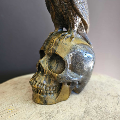 Tigers Eye Raven Skull | Portals Guide