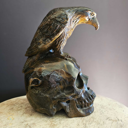 Tigers Eye Raven Skull | Portals Guide