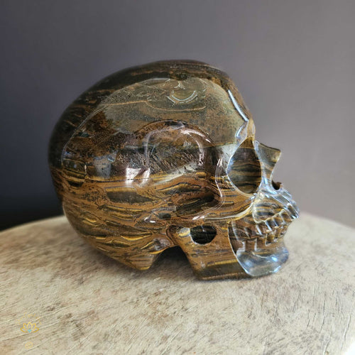 Tigers Eye Skull | Guardian Of Journeys