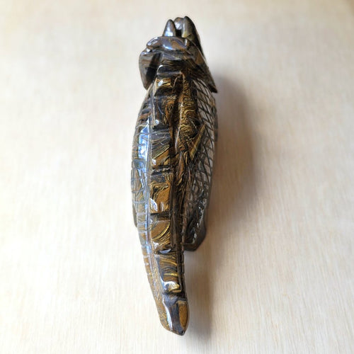 Tigers Eye Stegosaurus | Carving