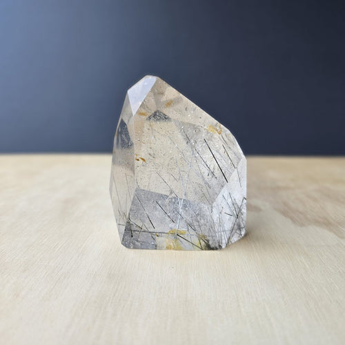 Tourmalinated Quartz Faceted Freeform | Veins Of Protection