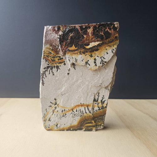 Utah Dendritic Limestone Freeform | Fernlight Mesa