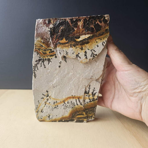 Utah Dendritic Limestone Freeform | Fernlight Mesa