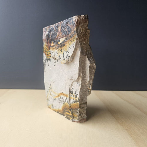 Utah Dendritic Limestone Freeform | Fernlight Mesa