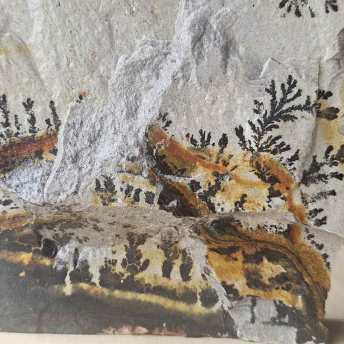 Utah Dendritic Limestone Freeform | Fernlight Mesa