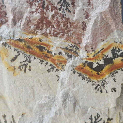 Utah Dendritic Limestone Freeform | Fernlight Mesa