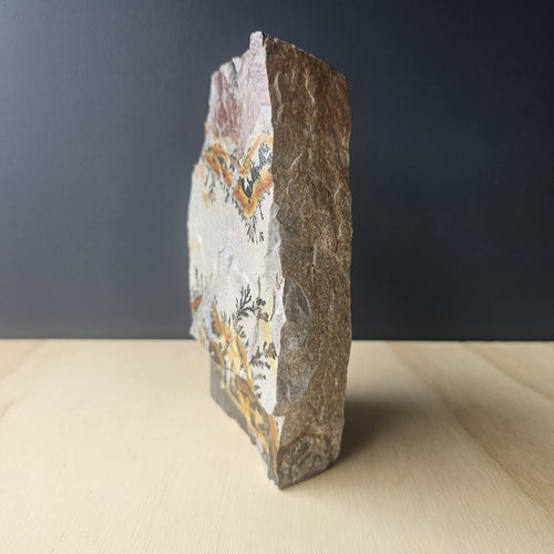 Utah Dendritic Limestone Freeform | Fernlight Mesa
