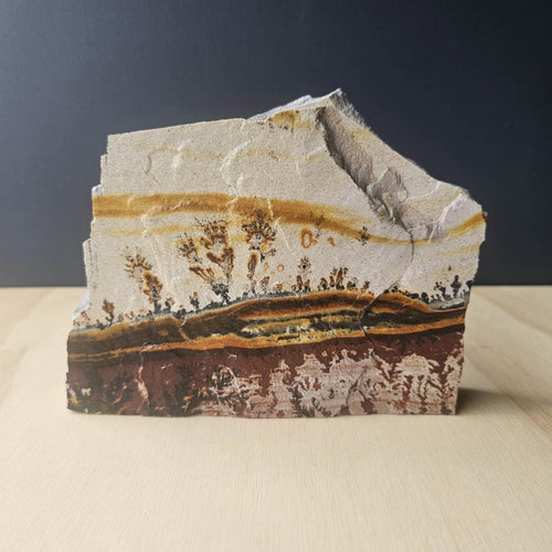 Utah Dendritic Limestone Freeform | Sundrift Hollow