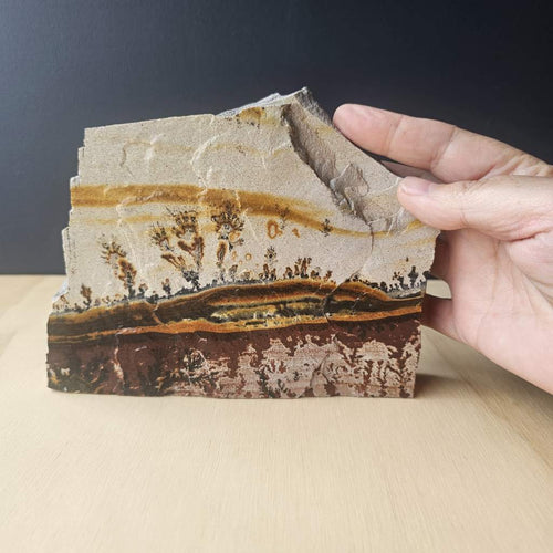 Utah Dendritic Limestone Freeform | Sundrift Hollow