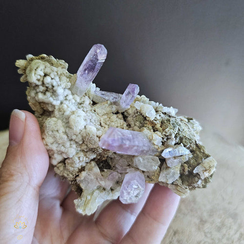 Vera Cruz Amethyst | Specimen 239gms