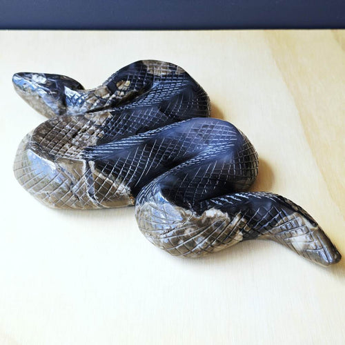 Volcanic Agate Snake | Serpent Of The Earth